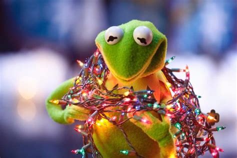 Kermit Stringing Up The Christmas Lights The Muppets The Muppet Show