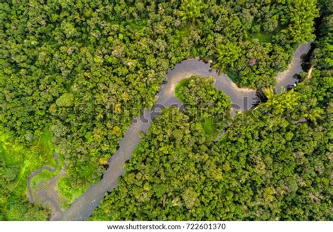 Aerial View Amazon Rainforest South America Stock Photo Edit Now