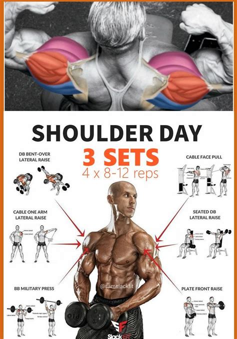Double Phase Shoulder Width And Growth Workout Plan