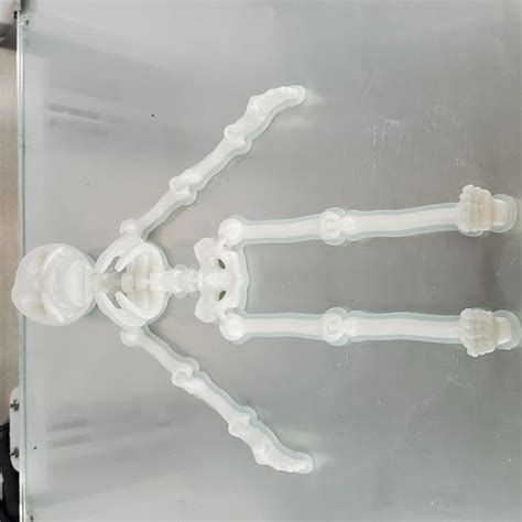 3d Printed Cute Flexi Print In Place Skeleton ・ Cults