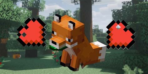 How To Tame A Fox In Minecraft