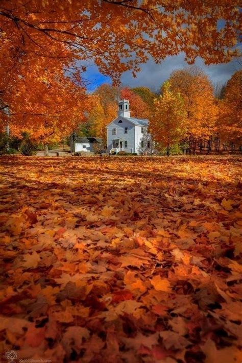 Pin By Becky Cagwin On Color Orange Fall Pictures Autumn Scenery
