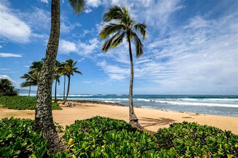 11 Best North Shore Oahu Beaches In Hawaii Happyzyt