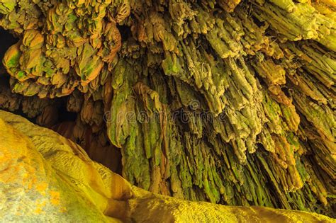 Limestone Caves Stock Photo Image Of Caving Cave Unique 32591836