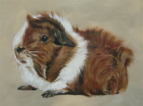 Lucky The Cutest Guinea Pig Painting By Lyndsey Hatchwell Pixels
