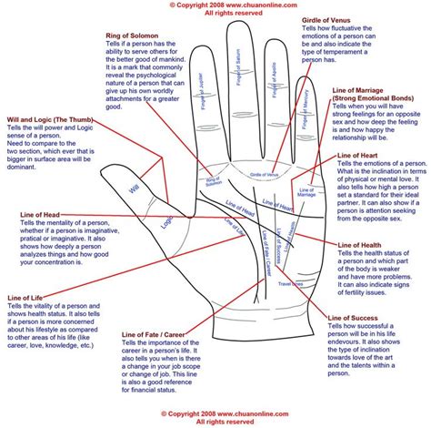 Palm Reading Leitura De Mãos Meditação Para Iniciantes Wicca Para