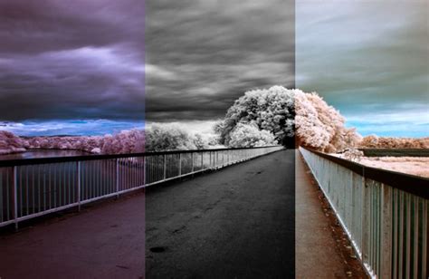 An In Depth Guide To Infrared Photography Processing Infrared