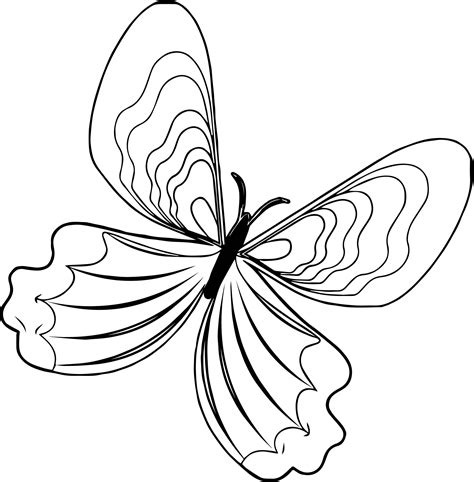 Cool Paint Butterfly Coloring Page Butterfly Coloring