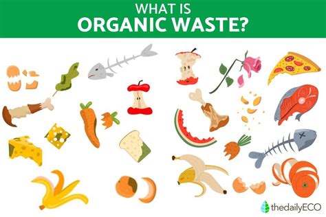 What Is Organic Waste Types Sources And Benefits
