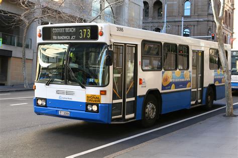 Filesydney Buses Pmc Bodied Mercedes Benz O405 Mark 5 Wikipedia