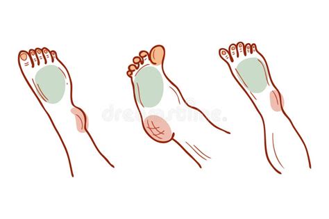 Set Of 4 Different Feet In Various Poses Stock Vector Illustration