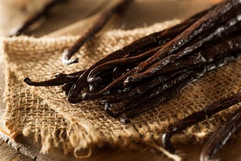 Wholesale Whole Vanilla Beans Bulk Gourmet Quality At Bulk Prices