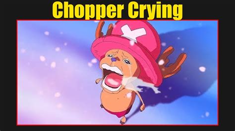 Why Is Chopper From One Piece Crying Youtube