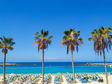 Your Vacation Guide To Gran Canaria Canary Islands