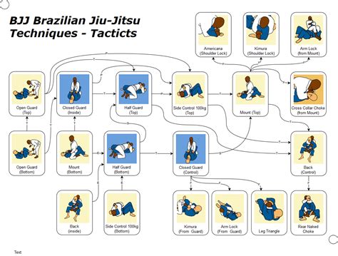 Bjj Brazilian Jiu Jitsu Techniques And Tactics Rbjj