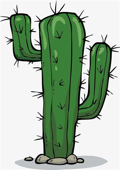 Cartoon Cactus Cactus Cartoon Cactus Drawing Cactus Painting