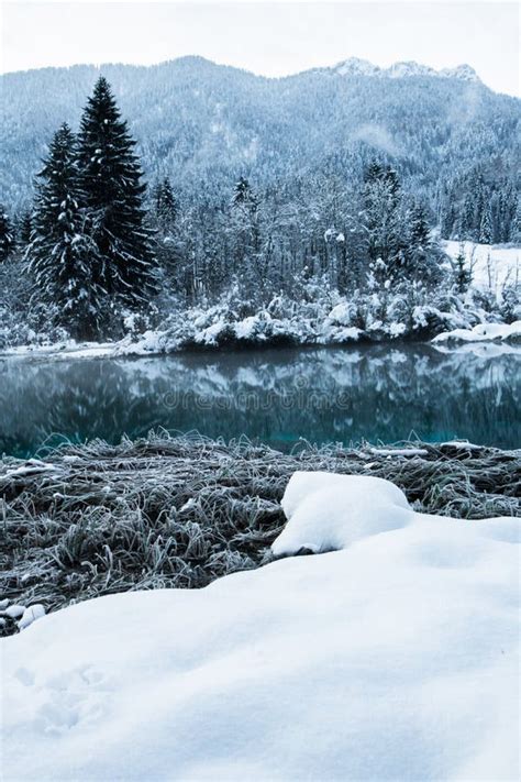 Beautiful Winter Scenery On Pure Lake Zelenci In Cold Sunrise Kranjska