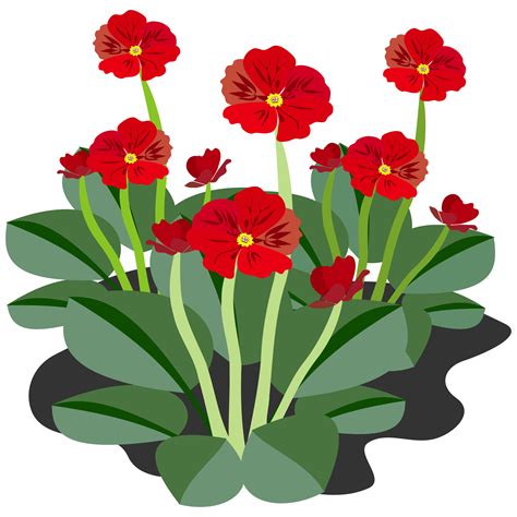 Clipart Flower Wallpapers Quality