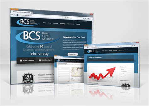 Bison Credit Solutions New Site Launch Calgary Web Development Amortech
