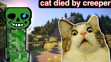 Minecraft Cat Vs Creeper Youtube