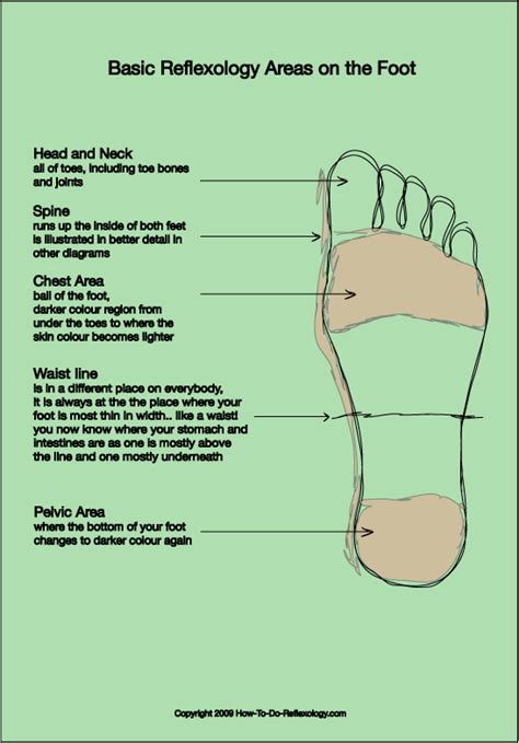 Foot Acupressure Points Complete Guide For Acupressure Foot Chart