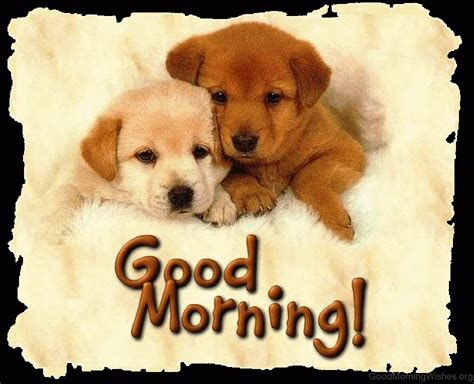 57 Good Morning Wishes For Puppy Lovers