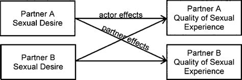 Conceptual Model Of Actor Partner Effects Between Sexual Desire And
