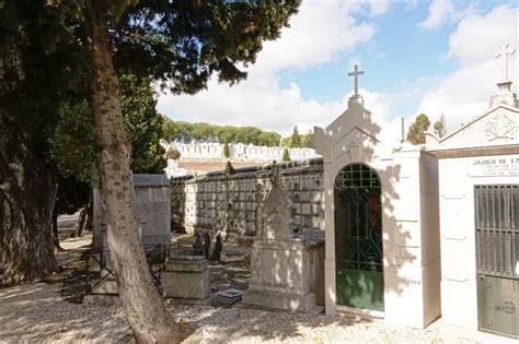 Rows Of Grave Tombs And Wall Graves In Alto Desao Joao Cemtery Lisbon