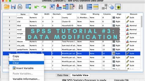 Spss Tutorial 3 Data Modification In Spss Resourceful Scholars Hub