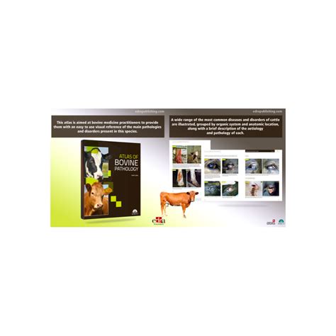 Atlas Of Bovine Pathology Veterinary Book Bovine Pathology