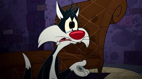 Looney Tunes Show Sylvester