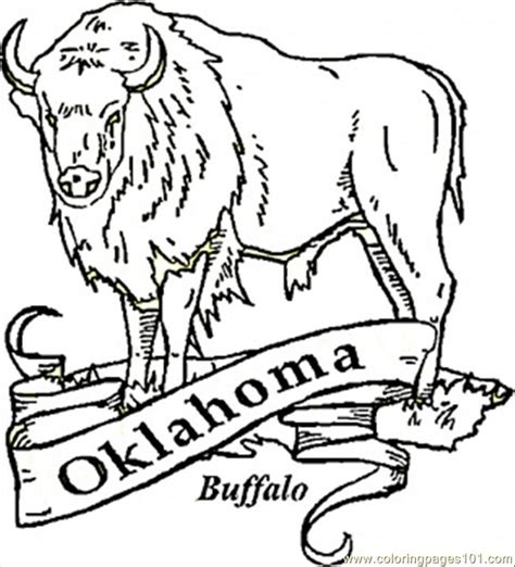 Free printable bison coloring pages for kids animal coloring. Buffalo Oklahoma Coloring Page - Free USA Coloring Pages ...