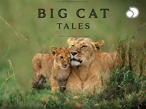 Watch Big Cat Tales Season 1 Prime Video