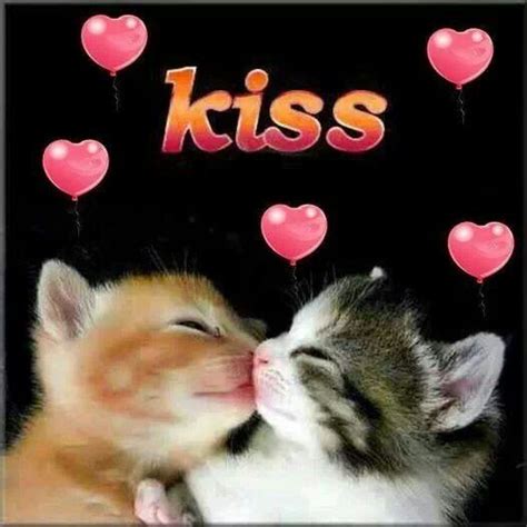 196 Best Images About Kissing On Pinterest A Kiss Romantic And Faye