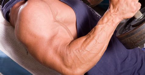 Je Biceps Trainen Doe Je Met Deze Power Oefeningen Xxl Nutrition