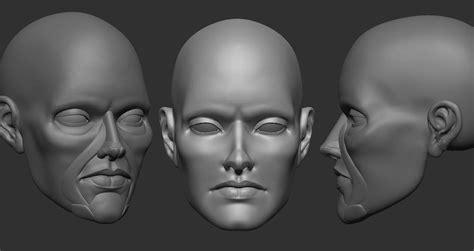 Zbrush How To Sculpt Faces Flippednormals