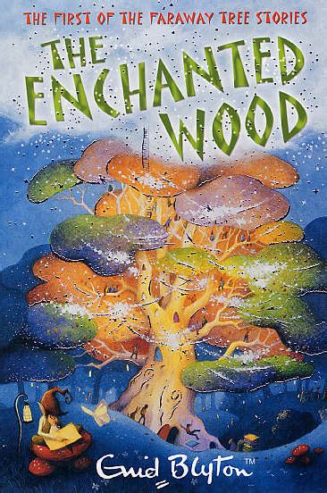 The Enchanted Wood By Blyton Enid 9781405230278 Brownsbfs