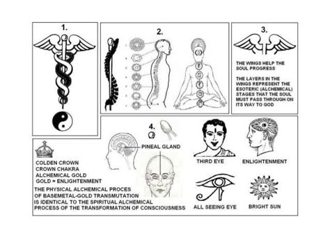 Pin By Knowledge Is Power On The 3rd Eye 6th Chakra Pineal Gland