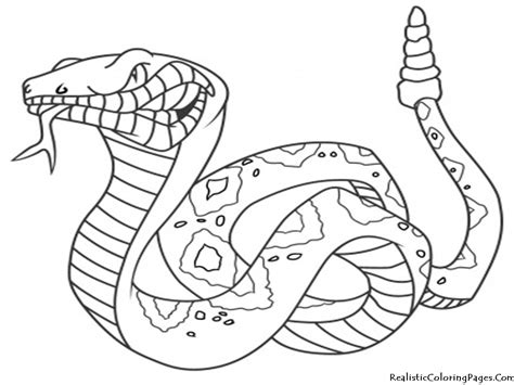 Wild animals coloring pages for kids. Wild Animals Coloring Pages Printable at GetColorings.com ...