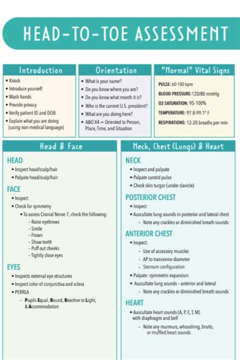 Head To Toe Assessment Nursing Notes Artofit