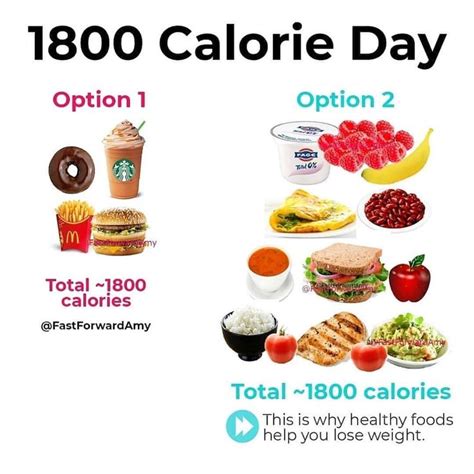 ᴡʜɪᴄʜ ᴡᴏᴜʟᴅ ʏᴏᴜ ᴘʀᴇғᴇʀ 1800 Calorie Day The Same Amount Of Calories But A Whole Different