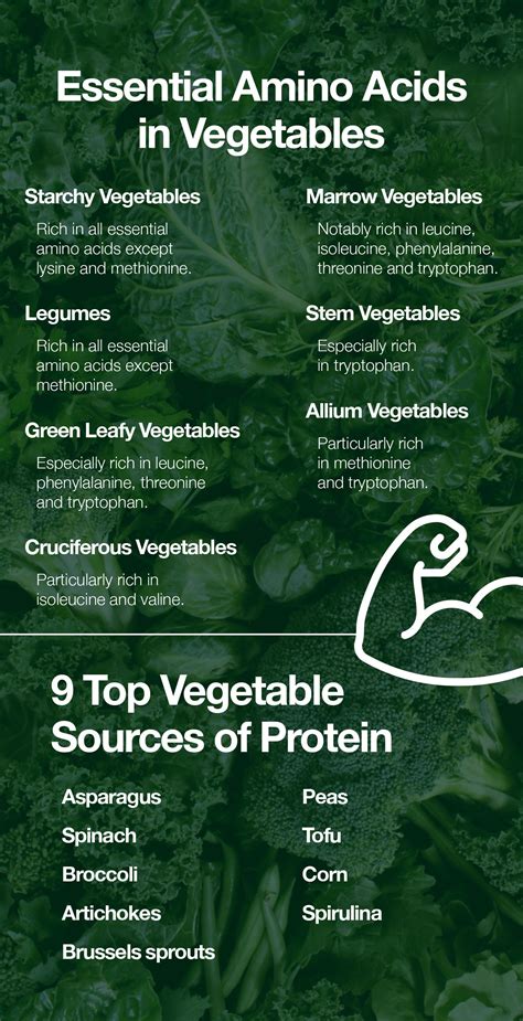 Lets Get To Know The Essential Amino Acids In Vegetables The Amino