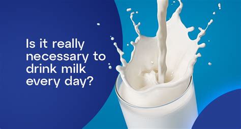 Is It Really Necessary To Drink Milk Every Day