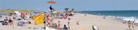 A Beginners Guide To Summer On Fire Island