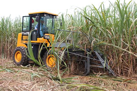 SH15 Cane Harvester Sugarcane Cutter Sugar Cane Harvesting Machine