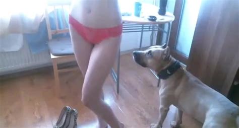 Amateur Pussy Licked And Fucked By A Kinky Dog Zoo Tube 1