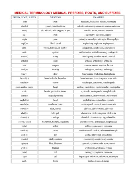 Medical Terminology Medical Prefixes Medical Specialties Clinical