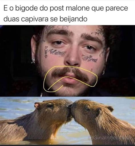Post Malone Mustache Looks Like Two Capybaras Kissing Rpostmalone
