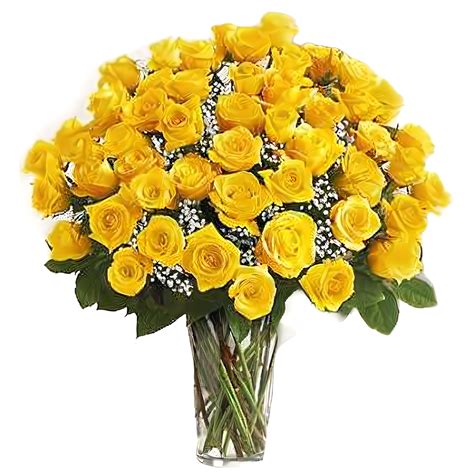 Long Stem 48 Yellow Roses Unique Flowers For Delivery In The Bronx