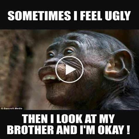 25 funny memes about having brothers and touching brother quotes everyone who has a sibling can in